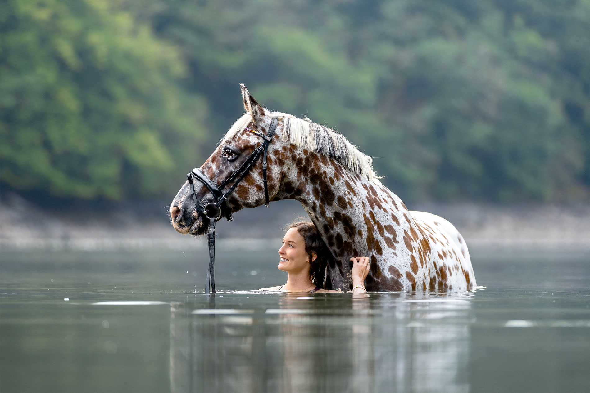 CHARLOTTE DECOURTRAY « À travers l’objectif… »